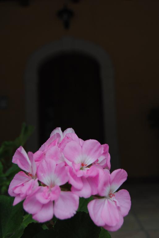 קוזנו מוטרי B&B Pascale מראה חיצוני תמונה